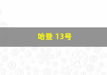 哈登 13号